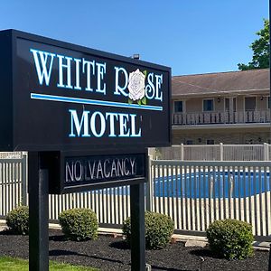 White Rose Motel - Hershey